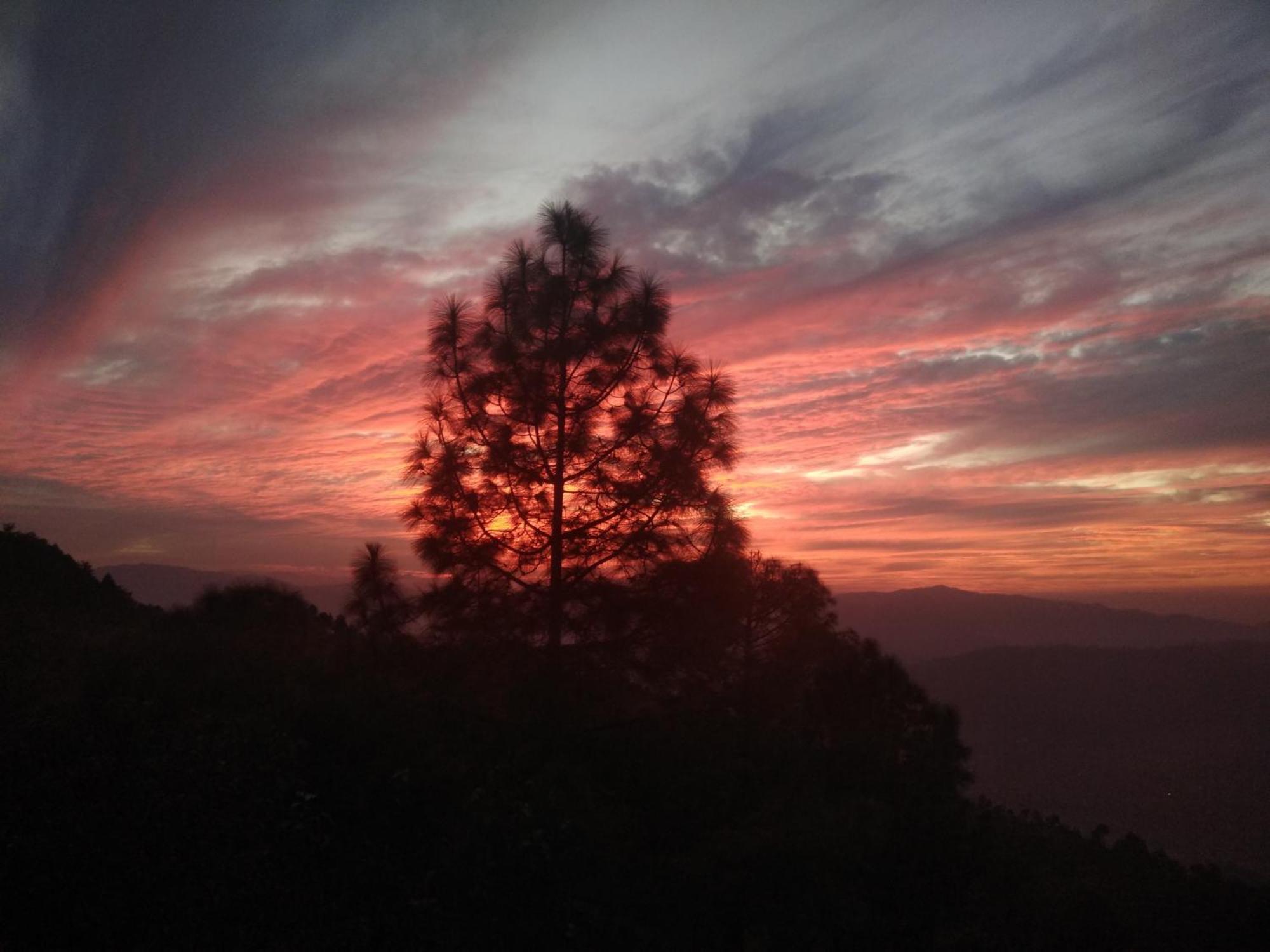 Mehra Cottage Almora Quarto foto